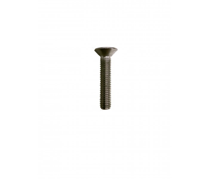 Vis foil torx en inox  M8 40mm