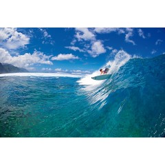 Planche de surf Bic Tahe 6'7 shortboard