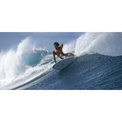 Planche de surf Bic / Tahe 5'10 Fish 
