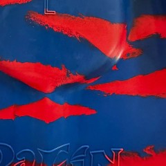 Palmes Da Fin  Zak Noyle x Kai Lenny (Bleu/rouge)