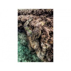 Combinaison Salvimar Krypsis 3.5mm