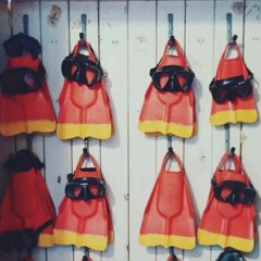 Palmes Da Fin Lifeguard (Jaune/Rouge)
