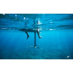 Foil Wing Sroka HA High Aspect (Aluminium) 2026