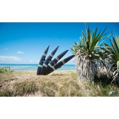 Foil Wing Sroka Control (Aluminium) 2026