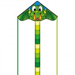 Cerf-volant écoline (dragon)