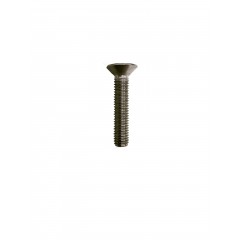 Vis foil torx en inox  M8 40mm