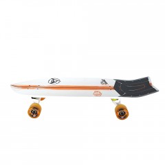 SurfSkate Miller Sean Gunning 31 (Pour Carver)