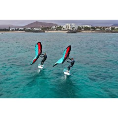 Foil Wing Sroka Control (Aluminium) 2026